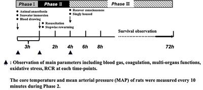 N-Acetyl-L-Cysteine Protects Organ Function After Hemorrhagic Shock Combined With Seawater Immersion in Rats by Correcting Coagulopathy and Acidosis